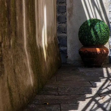 Charming & Luxury 别墅